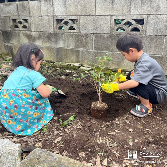 記念樹ブルーベリーの植樹の様子