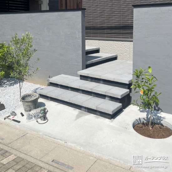 植樹した温州ミカン