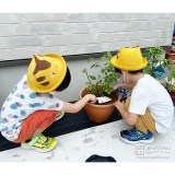 記念樹ブルーベリーの植樹の様子