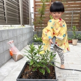 記念樹ジンチョウゲに水やりをする様子