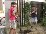 兵庫県三田市レモンとユズとアルプス乙女の植樹風景