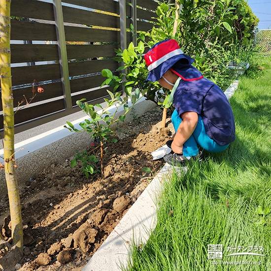 記念樹ブルーベリーの植樹の様子