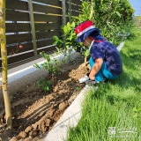 記念樹ブルーベリーの植樹の様子