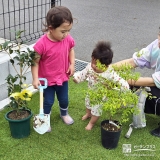 ユキヤナギ・キンモクセイと記念撮影