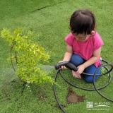 記念樹ユキヤナギに水やりをする様子