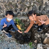 記念樹キンモクセイの植樹の様子