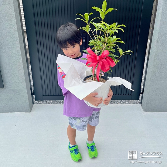 キンモクセイと記念撮影②