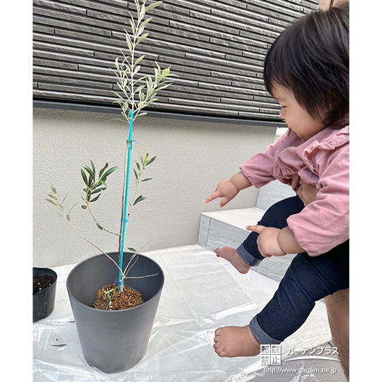 オリーブと記念撮影②