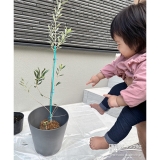 オリーブと記念撮影②