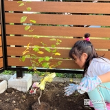 記念樹ジューンベリーの植樹の様子