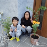 ミモザ・シマトネリコの記念撮影