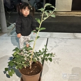 ブルーベリーと記念撮影