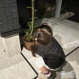 記念樹ブルーベリーの植樹の様子