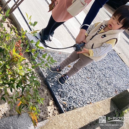 記念樹ナンテンに水やりをする様子