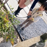 記念樹ナンテンに水やりをする様子