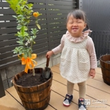 記念樹キンカンの植樹の様子