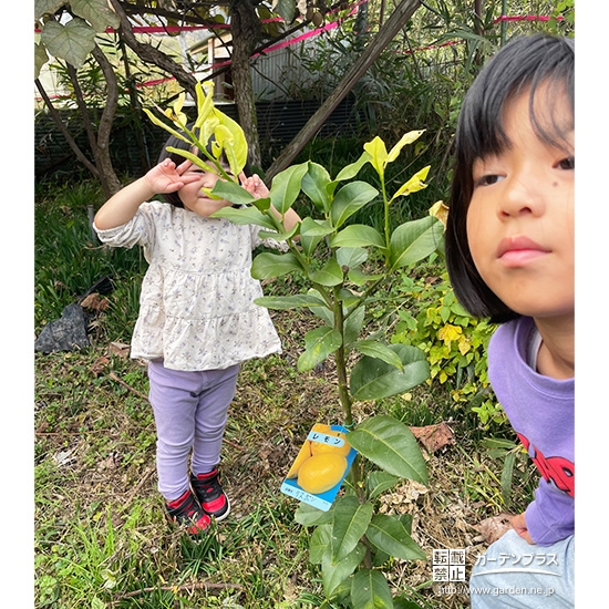 レモンと記念撮影①