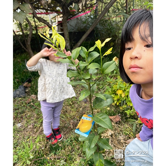 レモンと記念撮影②