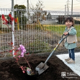 記念樹ブルーベリーの植樹の様子