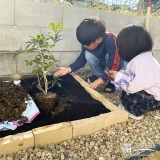 記念樹キンモクセイの植樹の様子