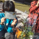 ジンチョウゲ・キンモクセイと記念撮影②