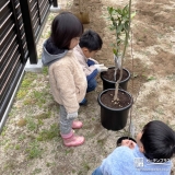 記念樹植樹の様子