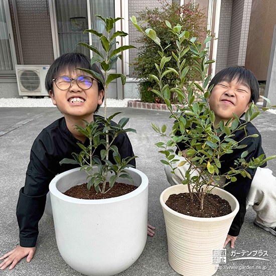 キンモクセイ・ブルーベリーと記念撮影