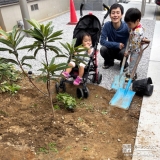 記念樹ビワの植樹の様子①