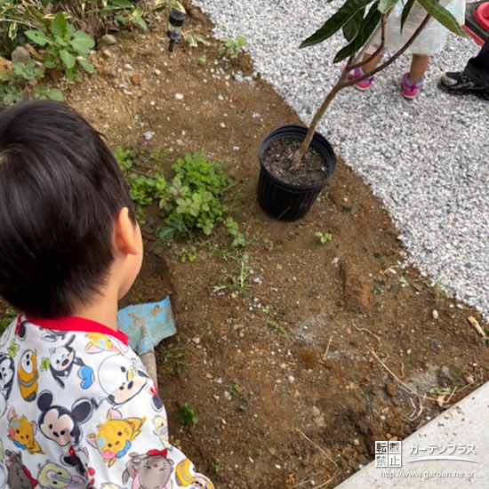 記念樹ビワの植樹の様子②