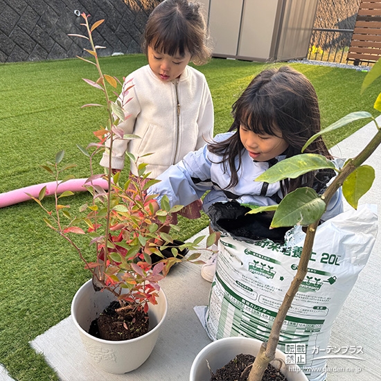 記念樹植樹の様子②