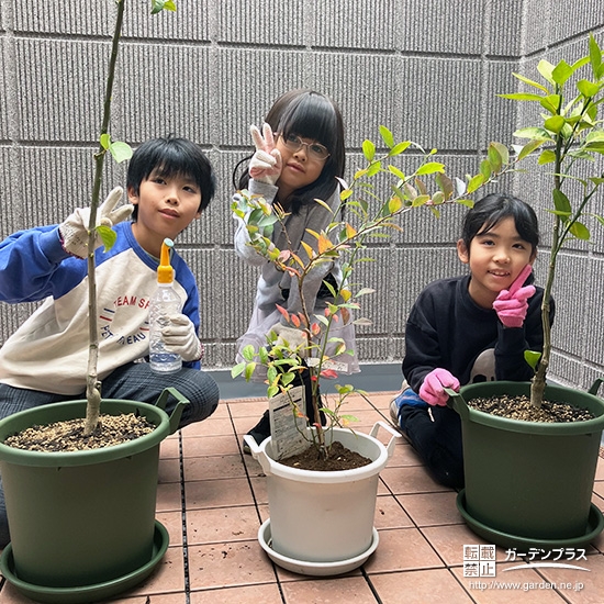 レモン・ブルーベリー・温州ミカンと記念撮影