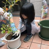記念樹ブルーベリーの植樹の様子