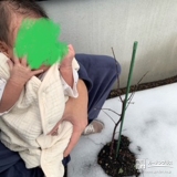 もみじ（カエデ）と記念撮影