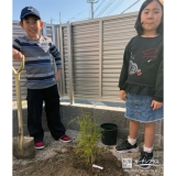 記念樹シマトネリコの植樹の様子①