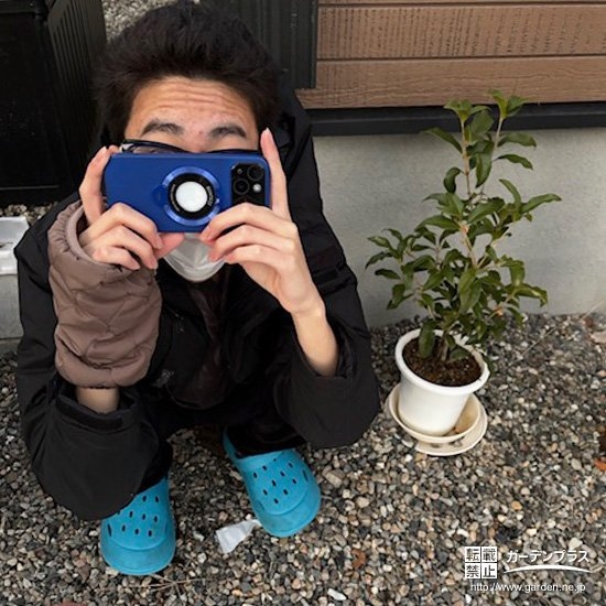 キンモクセイと記念撮影