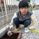 記念樹ジューンベリーの植樹の様子①