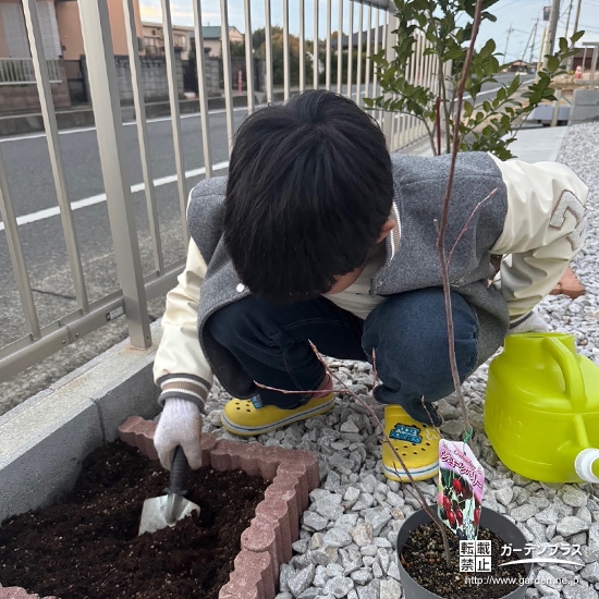 記念樹ジューンベリーの植樹の様子②