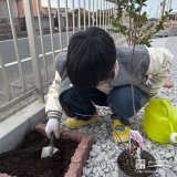 記念樹ジューンベリーの植樹の様子②