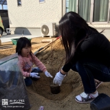 香川県高松市ジューンベリーともみじ（カエデ）の植樹風景