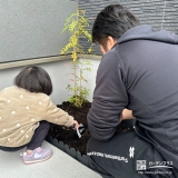 記念樹シマトネリコの植樹の様子①