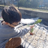 ソテツと記念撮影①