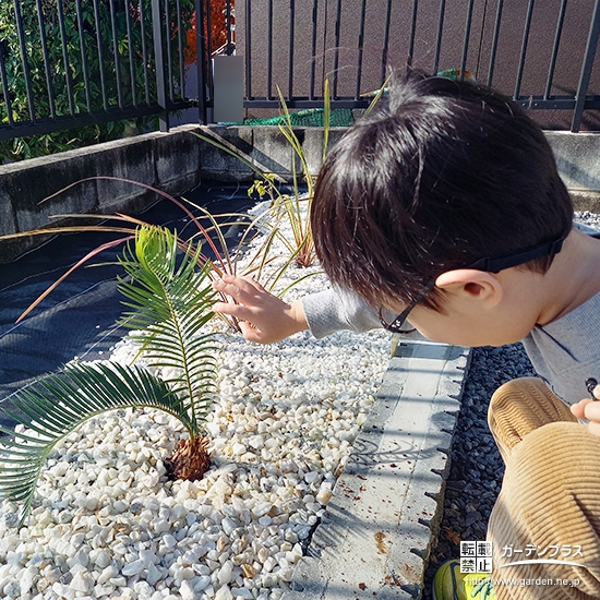 ソテツと記念撮影②