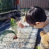 ソテツと記念撮影②