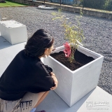 シマトネリコと記念撮影