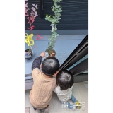 ブルーベリー・ミモザと記念撮影②