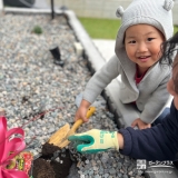 記念樹もみじ（カエデ）の植樹の様子