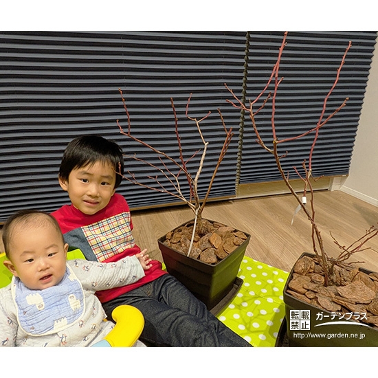 ブルーベリーと記念撮影