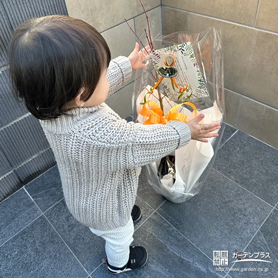 もみじ（カエデ）と記念撮影③