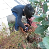 記念樹ナンテンの植樹の様子①