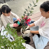 記念樹オリーブ・ブルーベリーの植樹の様子